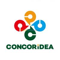 الخارج-هونج-كونج-الجزائر-خدمات-في-footwear-sneakers-logistics