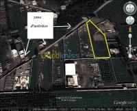 أرض-بيع-الجزائر-أولاد-الشبل