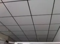 placoplatre & BA13 &rockfon longue