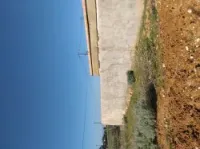 Vente Terrain Mostaganem Hadjadj