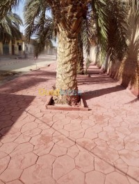 البليدة-أولاد-يعيش-الجزائر-بناء-و-أشغال-béton-imprimer