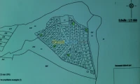 Vente Terrain Tizi ouzou Azazga