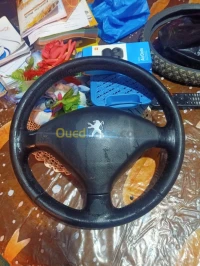 Airbag +volon