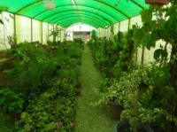 aménagement espace vert jardinage 