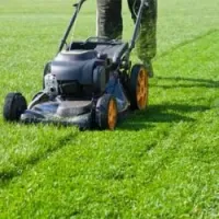 Nettoyage et aménagement d'espace vert