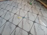 فايونس دلدوصول كرلاج وغيره