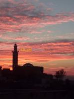 alger-el-mouradia-algerie-médecine-santé-faince-dale-de-sol-carleur-brique-mass