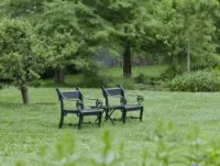 entretien et réalisation des jardins