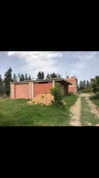 Vente Carcasse Blida Ouled selama