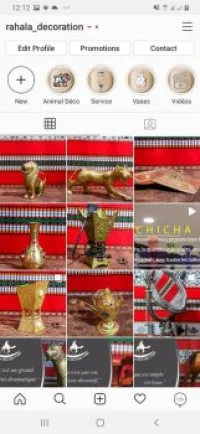 Manager de Page Professionnel 