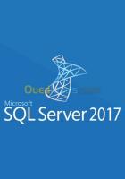 applications-software-ms-sql-server-2017-standard-unlimited-bab-ezzouar-alger-algeria