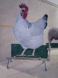 Panneaux publicitaires