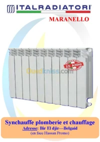 Radiateur Italradiatori Maranello