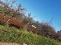 Vente Terrain Tlemcen Ghazaouet