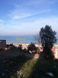 Vente Terrain Bejaia Tichy