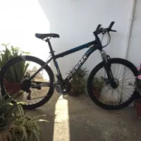 Velo Phœnix 