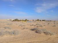 tebessa-negrine-algerie-terrain-vente