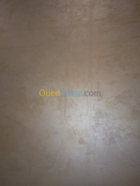 البليدة-الجزائر-تيبازة-وادي-العلايق-بن-عكنون-بوسماعيل-بناء-و-أشغال-صباغة