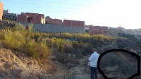 أرض-بيع-تلمسان-غزوات-الجزائر