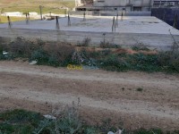 هيكل-بيع-قسنطينة-الخروب-الجزائر