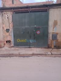 الشلف-الجزائر-محل-kra-mhl-alshlf