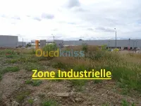 Vente Terrain Setif Setif