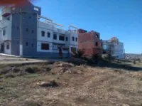 Vente Terrain Tlemcen Bab el assa