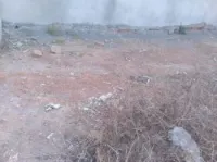 Vente Terrain Tlemcen Honaine