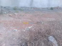 Vente Terrain Tlemcen Honaine