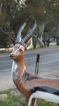 ديكورات-و-ترتيب-statue-et-animaux-a-taille-reelle-بجاية-الجزائر