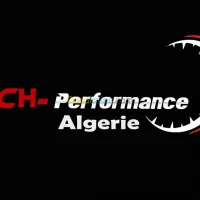 Reprogrammation et chiptuning 
