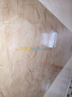 oran-es-senia-algerie-construction-travaux-peinture-simple-et-decoratif-ba-13-pvc