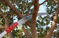 SCIE TÉLESCOPIQUE TLX 3×1,5 360 bh