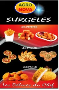PLATS PREPARES SURGELES PRODUCTION