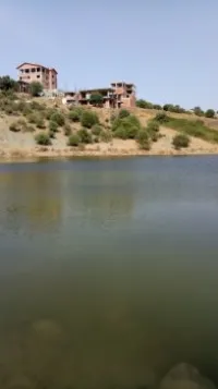 Vente Carcasse Boumerdes Larbatache