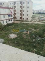 appartement-vente-f3-tiaret-sougueur-algerie