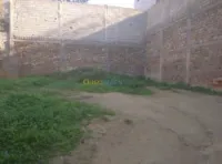 Vente Terrain Tlemcen Nedroma