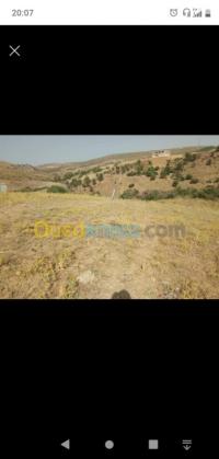 قسنطينة-الجزائر-أرض-byaa-ard-ksntyn