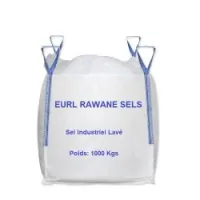 Vente de sel industriel 