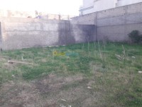 البليدة-الصومعة-الجزائر-أرض-byaa-ard-alblyd-alsomaa