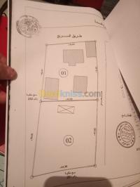 الجزائر-الرغاية-أرض-byaa-ard-aljzaer-alrghay