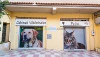 الجزائر-بئر-خادم-طب-و-صحة-santé-animal