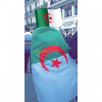 setif-el-eulma-algerie-industrie-fabrication-de-drapeaux-nationaux