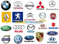 reparation-auto-diagnostic-scanner-tout-les-marques-activation-options-cache-pour-renault-et-dacia-tidjelabine-boumerdes-algerie