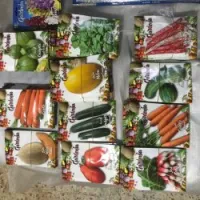 Semence en sachets 
