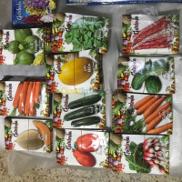 alger-bir-mourad-rais-algerie-jardinage-semence-en-sachets