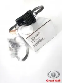 SONDE D'OXYGENE GREAT WALL 