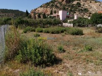 تلمسان-غزوات-الجزائر-أرض-byaa-ard-tlmsan-ghzoat