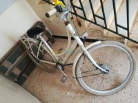 الجزائر-عين-بنيان-معدات-رياضية-vélo