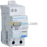 Disjoncteur différentiel 300mA 2 Pôles